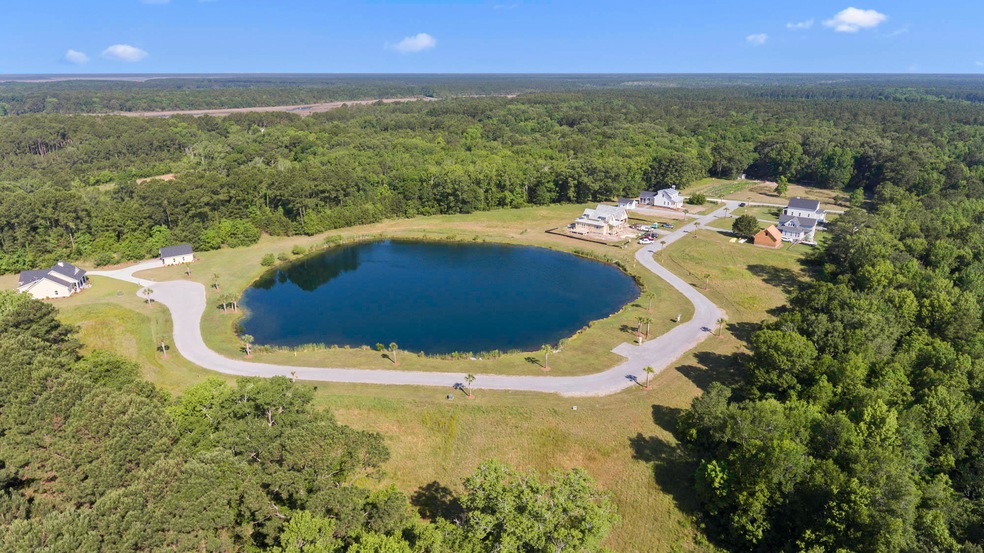 Aerial of community