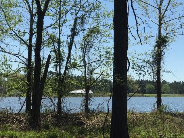 0 Harbor View Dr unit 53 1311361, Madison, MS 39110 - photo 1