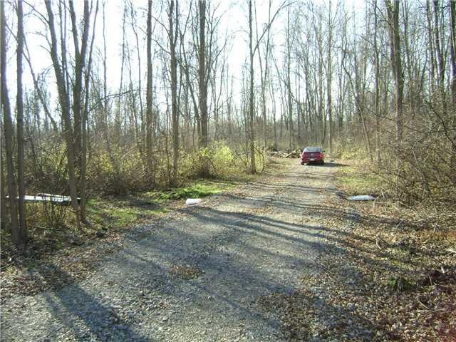 Land. Entering property ... recently cleared to installed gravel driveway