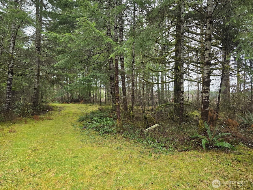 0 Lot 1&2 W Elk Hill Rd, Elma, WA 98541 - photo 1