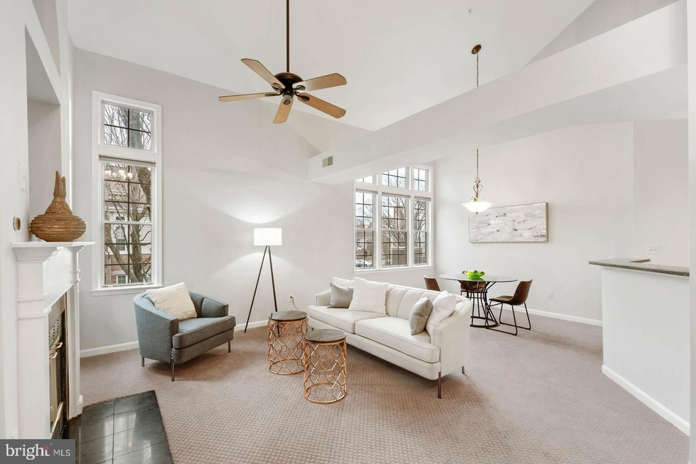 7029 Haycock Rd unit D, Falls Church, VA 22043 - photo 1