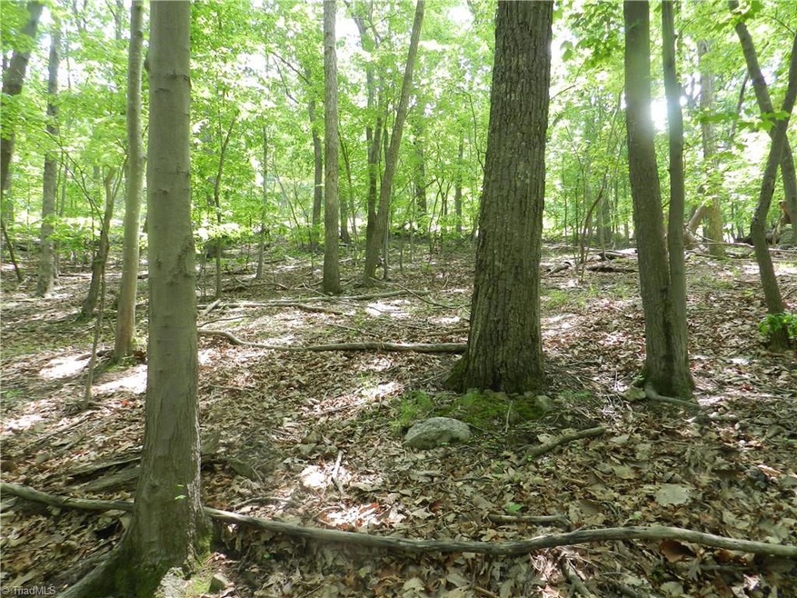 0 Oakmont Dr unit 832462, Asheboro, NC 27205 - photo 1