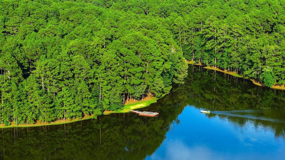 Anderson County Road 445, Brushy Creek, TX 75803 - photo 1