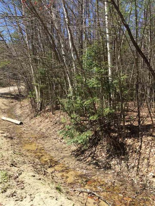 00 Birch Hill Cir unit 8, Campton, NH 03223 - photo 1