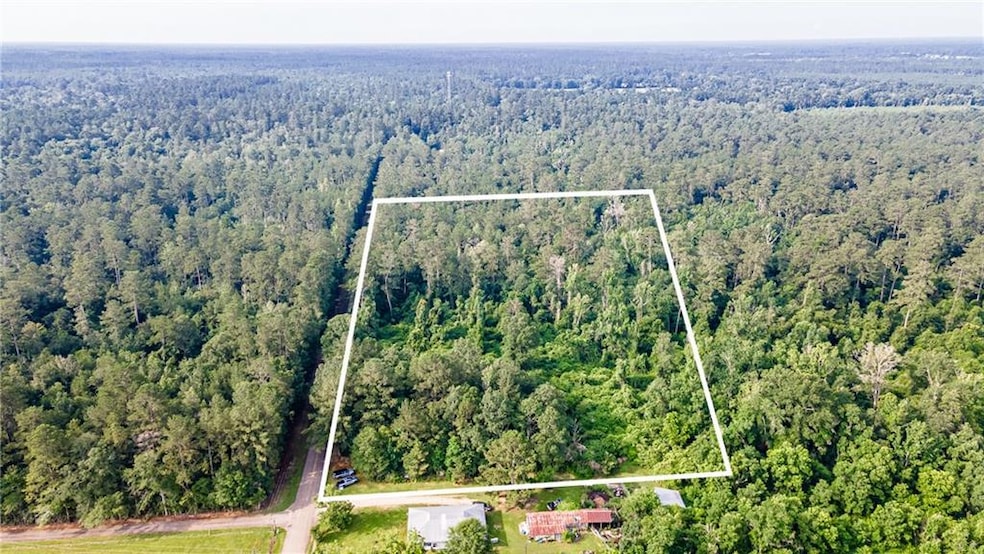 0 Lee Settlement Rd, Folsom, LA 70437 - photo 1