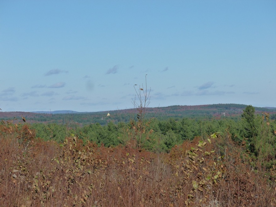 11 Chestnut Ln, Littleton, MA 01460 - photo 1