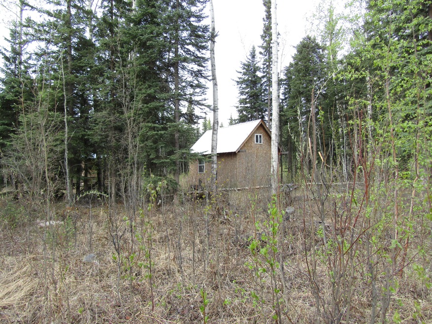 TR C-3 Tanana Loop Ext 001