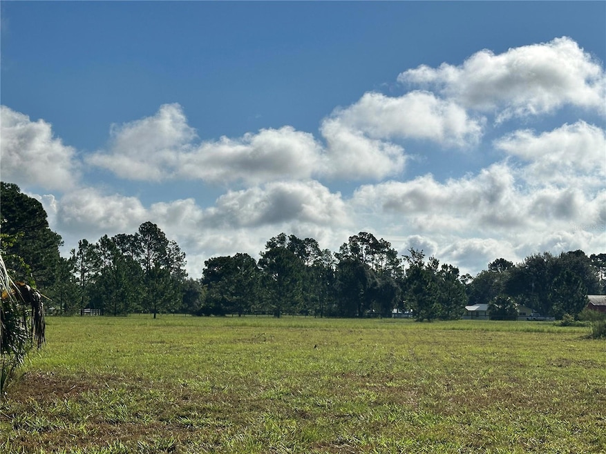 0 Ranch Gate Blvd unit MFRO6343065, Umatilla, FL 32784 - photo 1