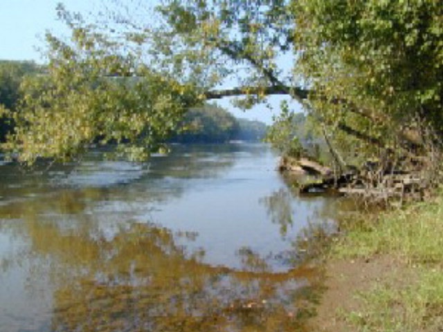 Main View