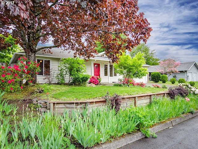 Front Yard