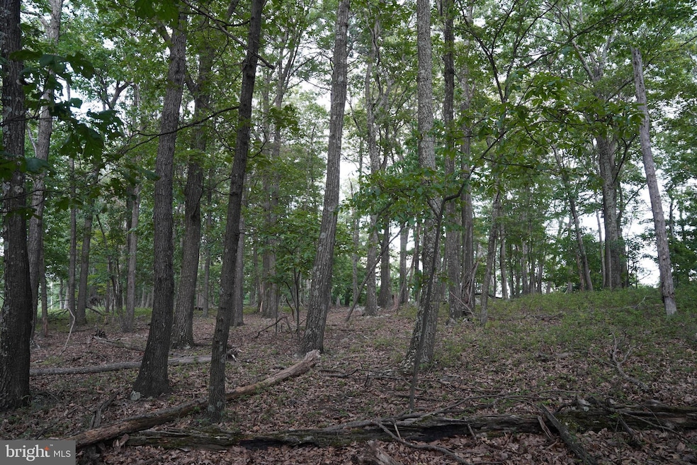 Lot 7 Justin Ln, Great Cacapon, WV 25422 - photo 1