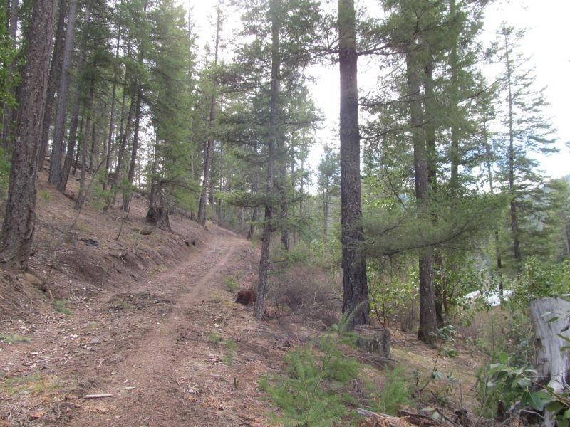 Access road to top of property