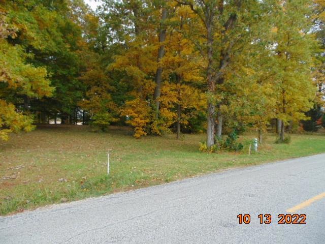 Main View
