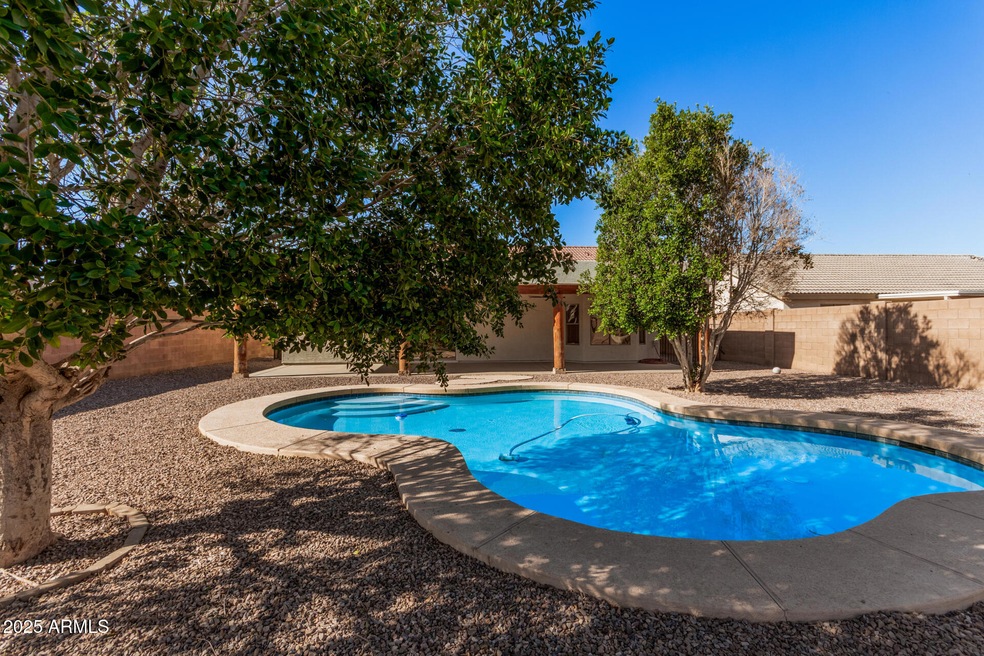 backyard and pool
