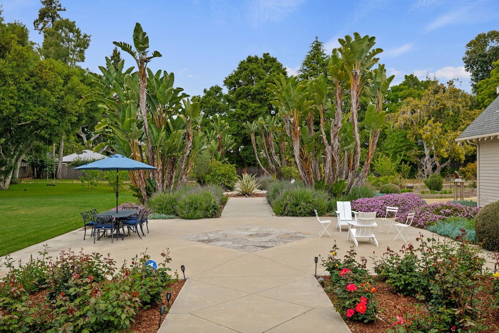 Tropical Oasis