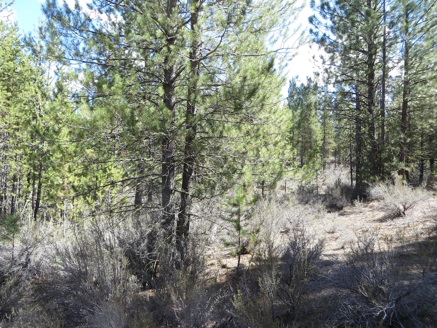 Trees for Privacy