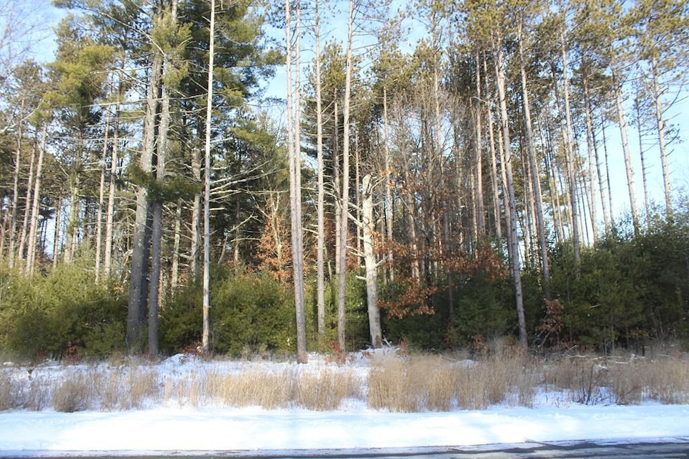 26 Frontier Ln, Millis, MA 02054 - photo 1