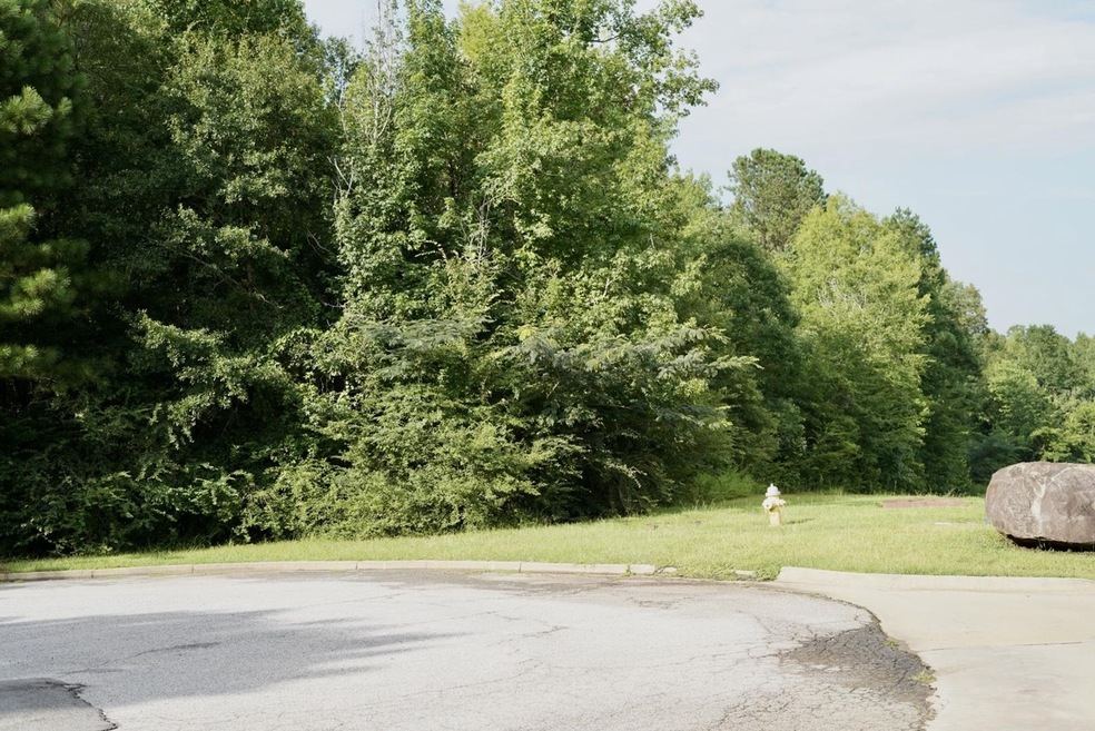 796 Tolliver Place, Macon, GA 31210 - photo 1