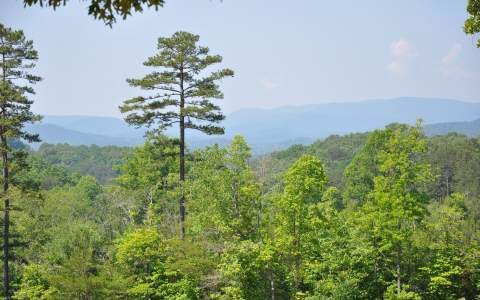 47 AC Big View Rd, Mineral Bluff, GA 30559 - photo 1