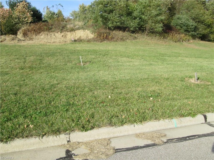 0 Hemlock Trail unit 3947568, Orrville, OH 44667 - photo 1