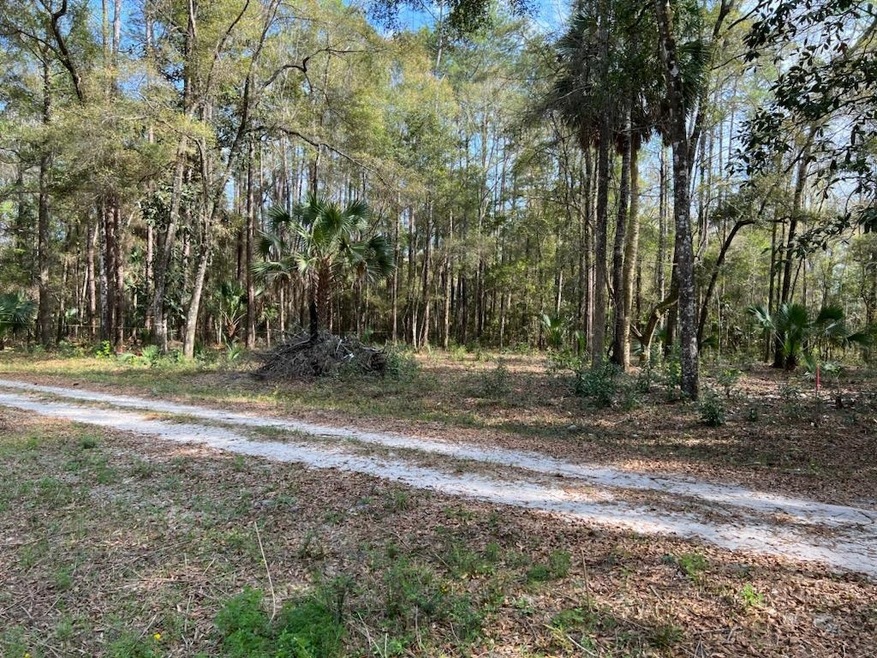 Lot 16 & 17 Owl Ln unit 1, Crawfordville, FL 32327 - photo 1