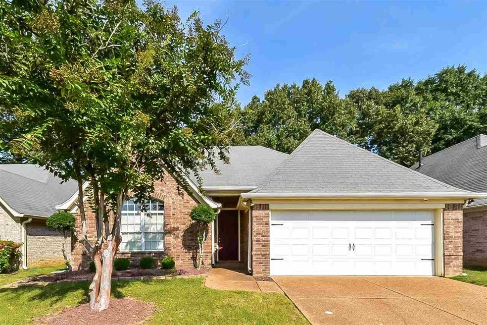 7214 Grapetree Trail, Cordova, TN 38018 - photo 1