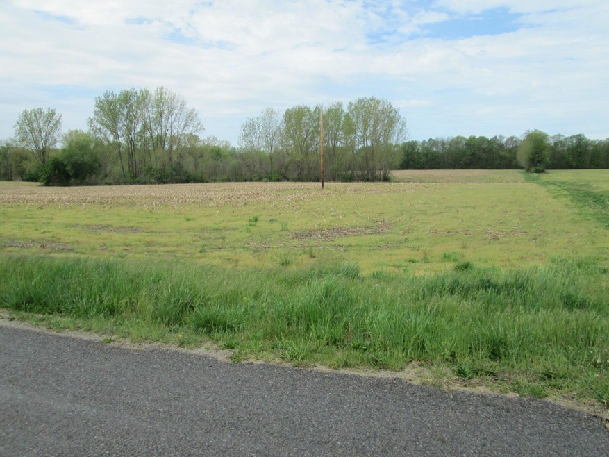 V/L Holden Rd, Glendora, MI 49107 - photo 1