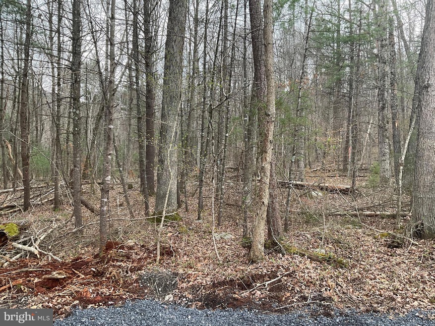 0 Millertown Rd unit VASH2002882, Edinburg, VA 22824 - photo 1