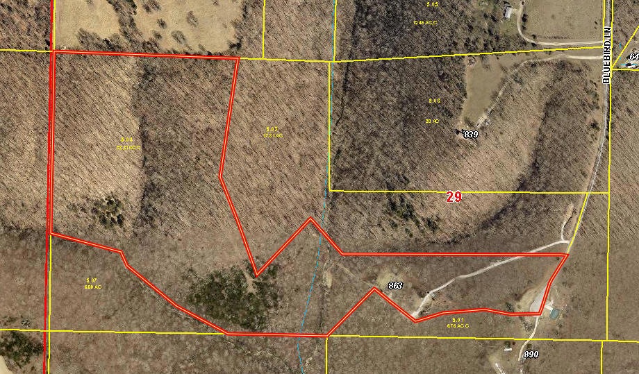 863 Bluebird Lane - aerial