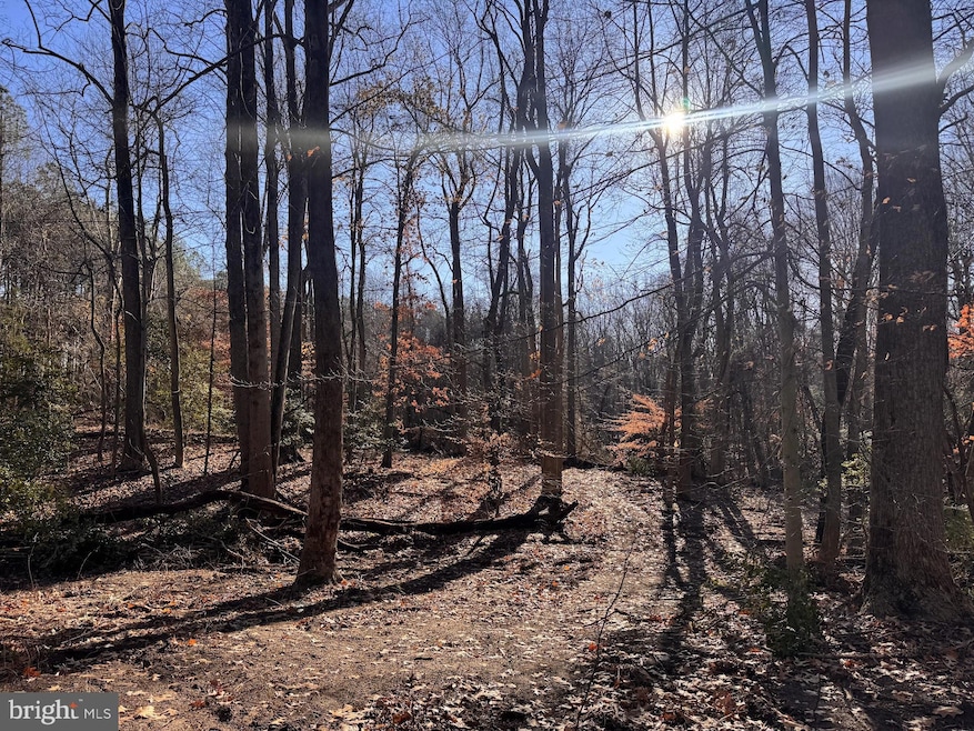 5260 Sheridan Point Rd, Prince Frederick, MD 20678 - photo 1