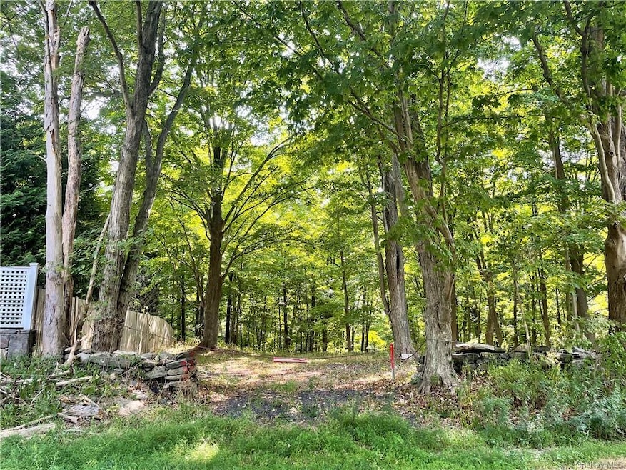 0 Salem Rd, Pound Ridge, NY 10576 - photo 1