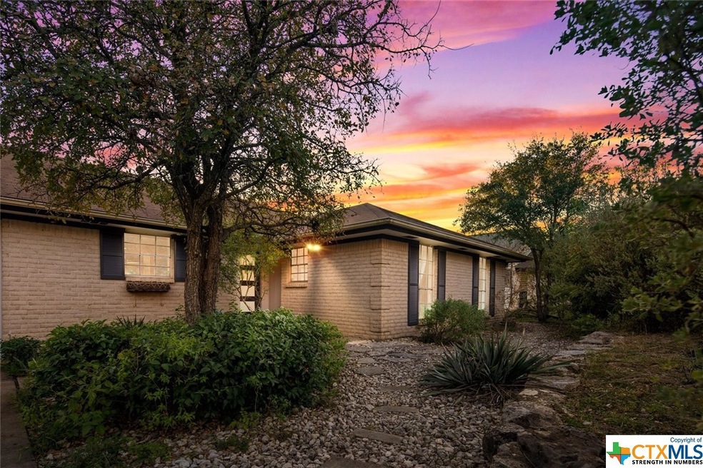 8109 Red Willow Dr, Austin, TX 78736 - photo 1