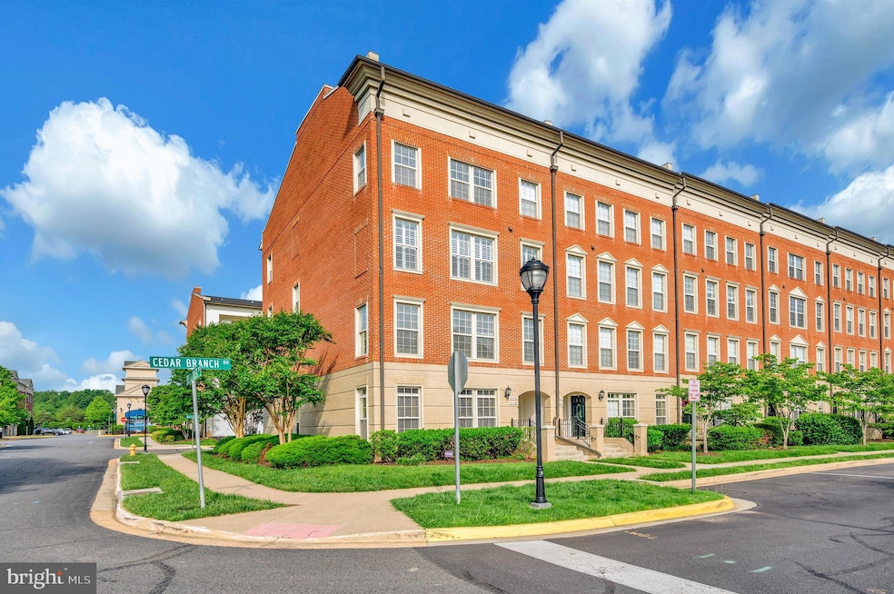 7848 Cedar Branch Dr, Gainesville, VA 20155 - photo 1