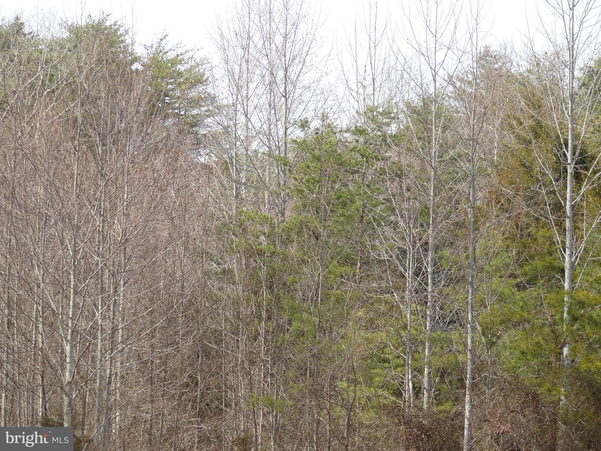 0 Monrovia Rd unit 1002544236, Orange, VA 22960 - photo 1