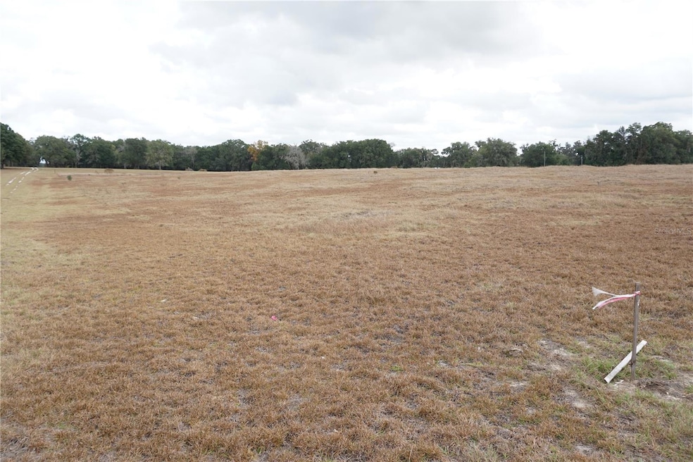 00 (TBD) NE 141st St, Citra, FL 32113 - photo 1