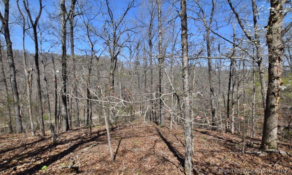 29275 Buffalo Hunt Ridge Rd, Proctor, OK 74457 - photo 1