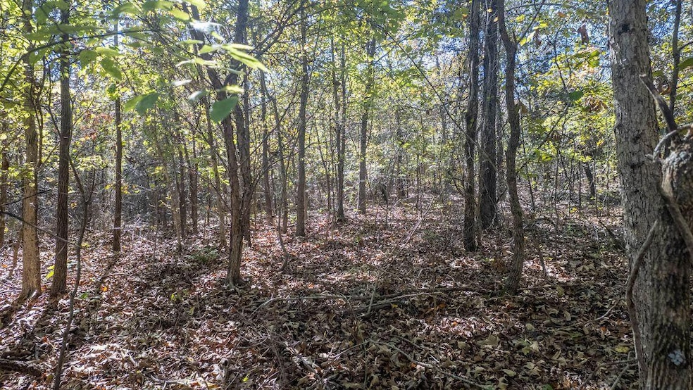 000 Cheetowaha Cir, Cherokee Village, AR 72529 - photo 1