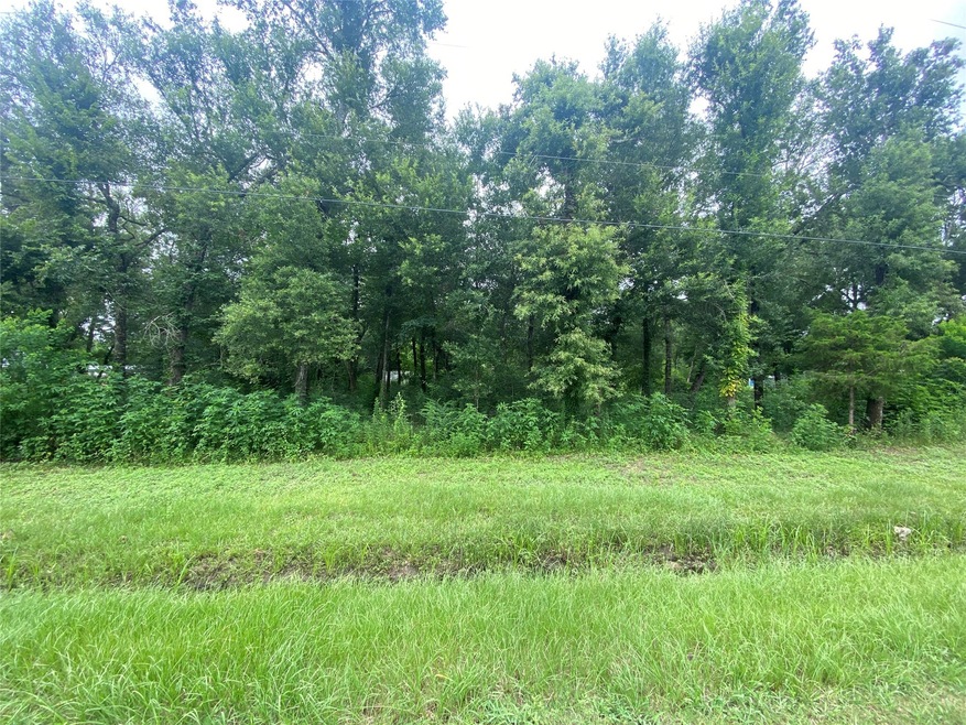 117 County Road 404, Dayton, TX 77535 - photo 1