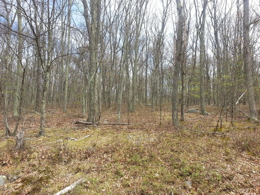 232 Sec 2 Lilypad Ln, Lackawaxen Township, PA 18428 - photo 1