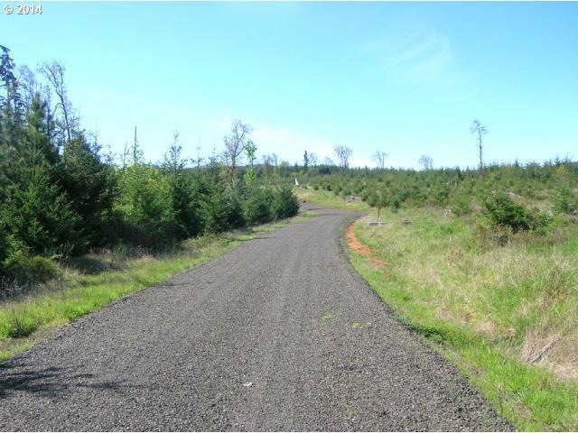 18372 Oregon 22 unit 1, Sheridan, OR 97378 - photo 1