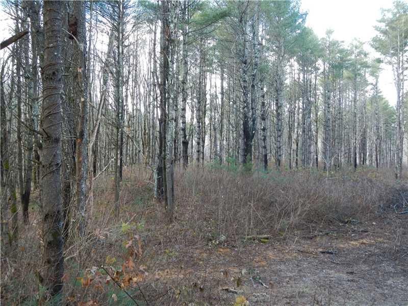 Land/Lot.
