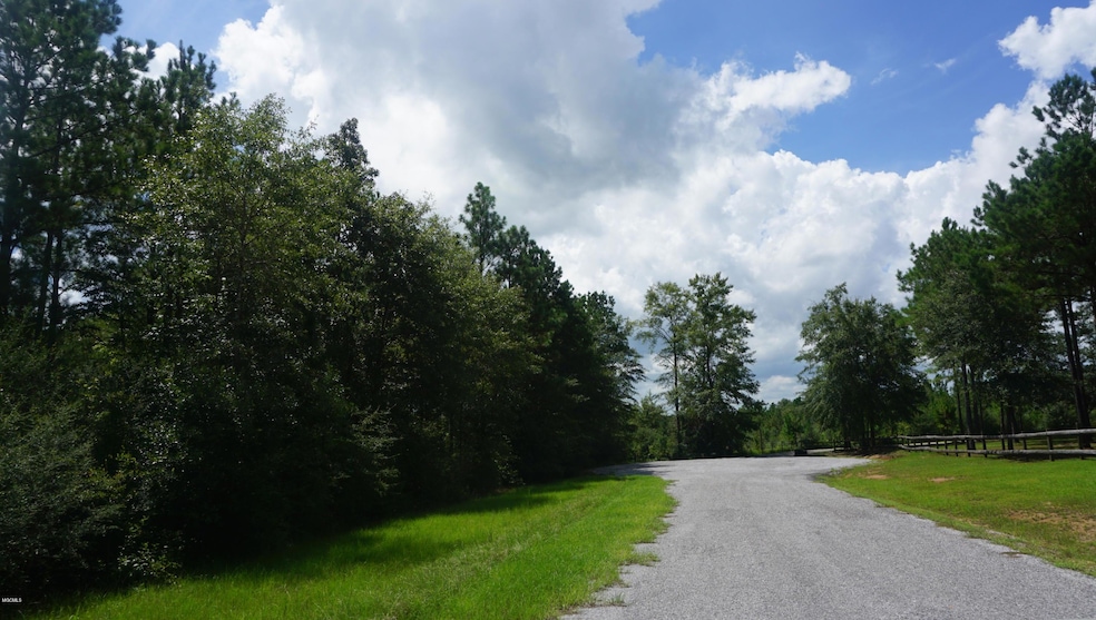 Lot #9 Mill Creek Rd, Lucedale, MS 39452 - photo 1