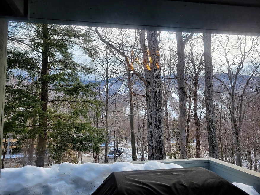 32 Fox Run Rd unit 2, Lincoln, NH 03251 - photo 1