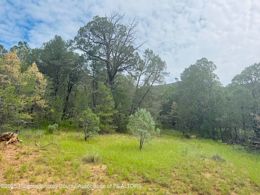 - Johnnys Dr, Timberon, NM 88350 - photo 1