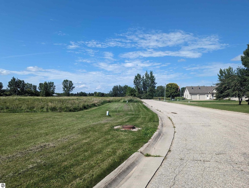 0 S Court St unit 24 1915641, Au Gres, MI 48703 - photo 1