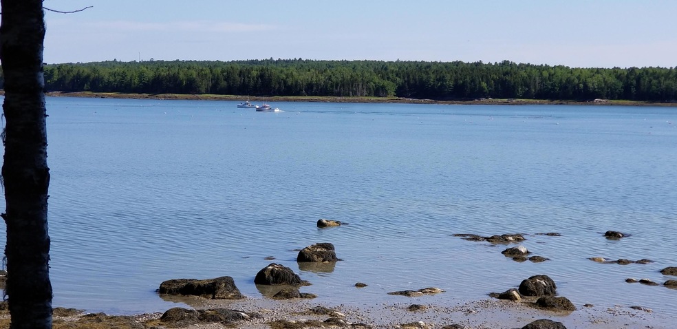 20190719_090353