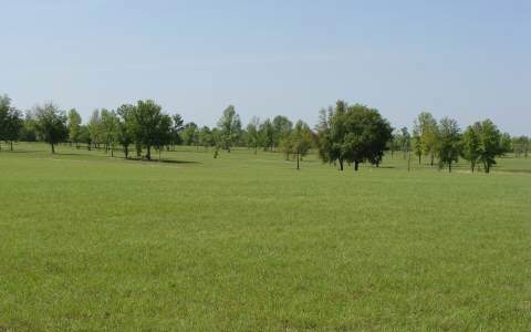 LOT48 Custom Made Cir, Lake City, FL 32024 - photo 1