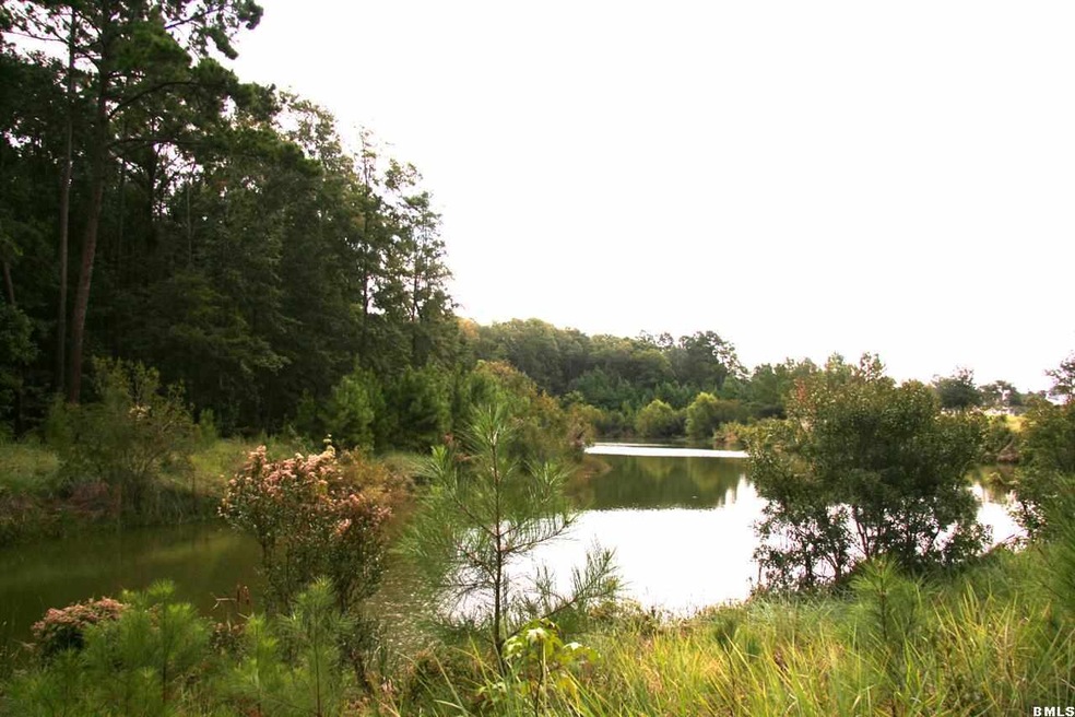 Primary Photo
