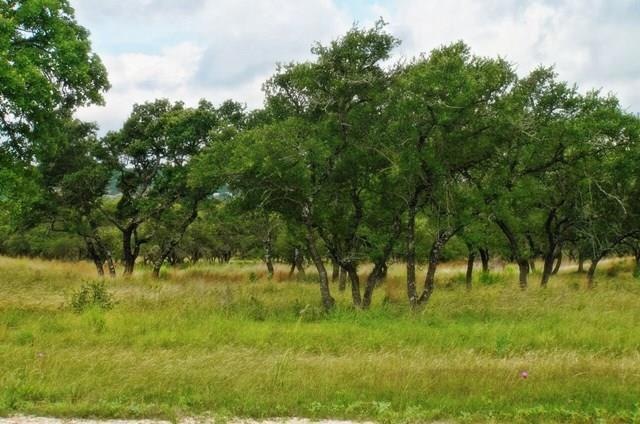 101 Admiral Heights Blvd unit 16, Fredericksburg, TX 78624 - photo 1