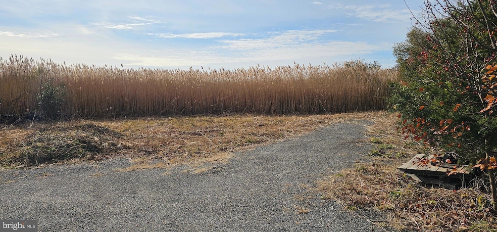 2806 Kitts Hummock Rd, Dover, DE 19901 - photo 1